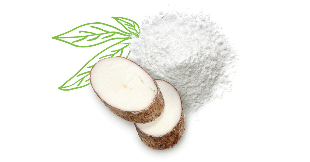 What is Arrowroot and How Do You Use It?